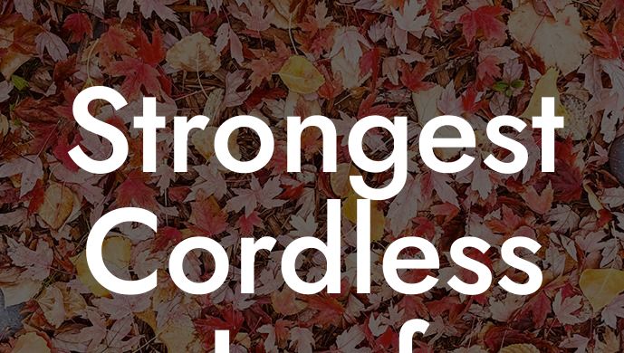 Strongest Cordless Leaf Blower