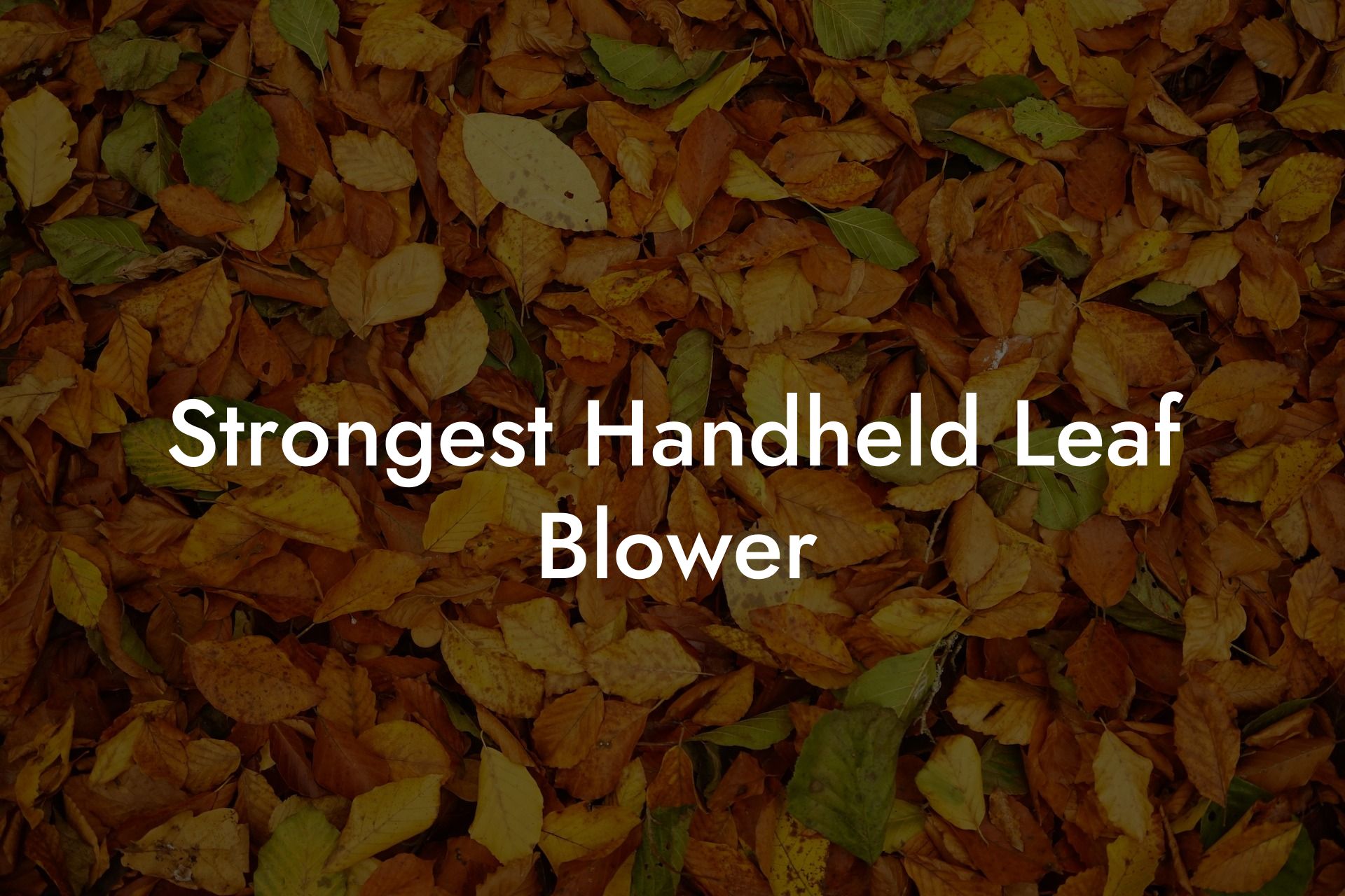 Strongest Handheld Leaf Blower