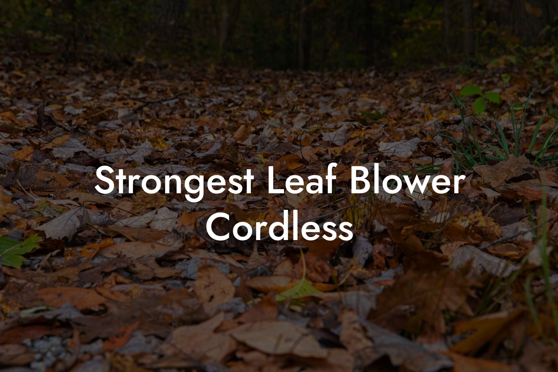 Strongest Leaf Blower Cordless