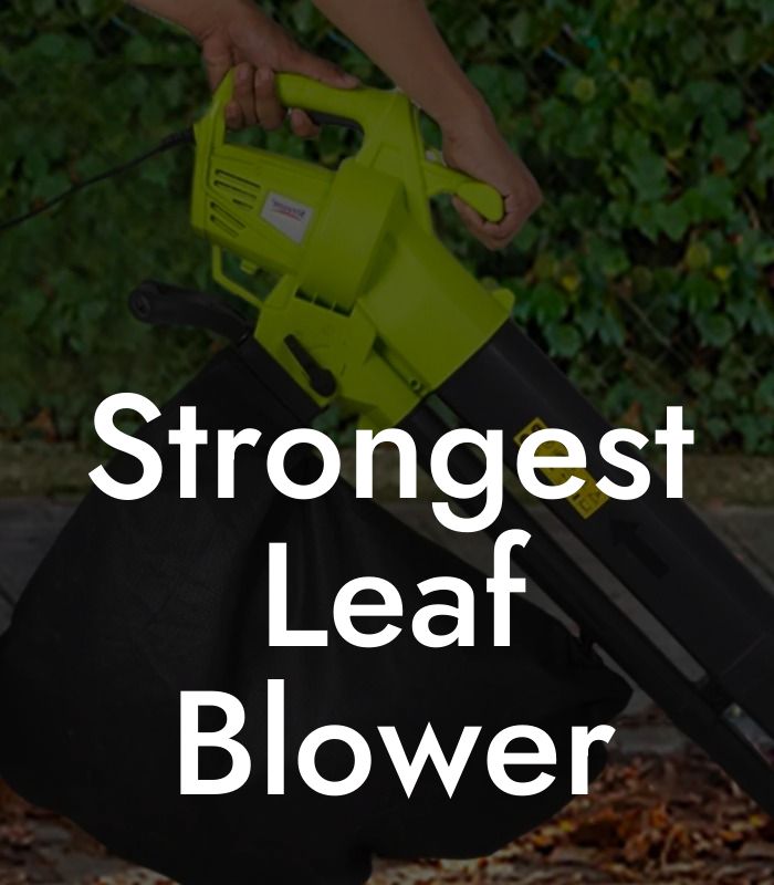 Strongest Leaf Blower