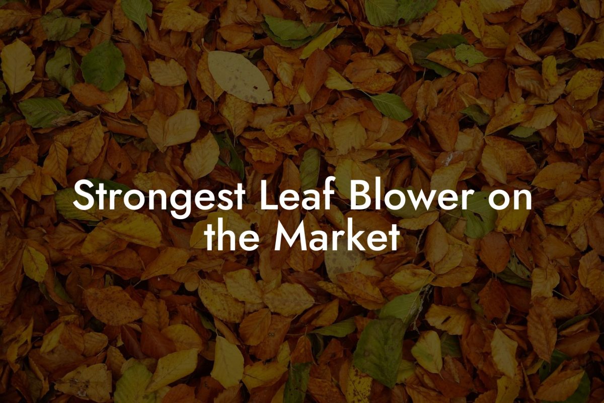 Strongest Leaf Blower on the Market