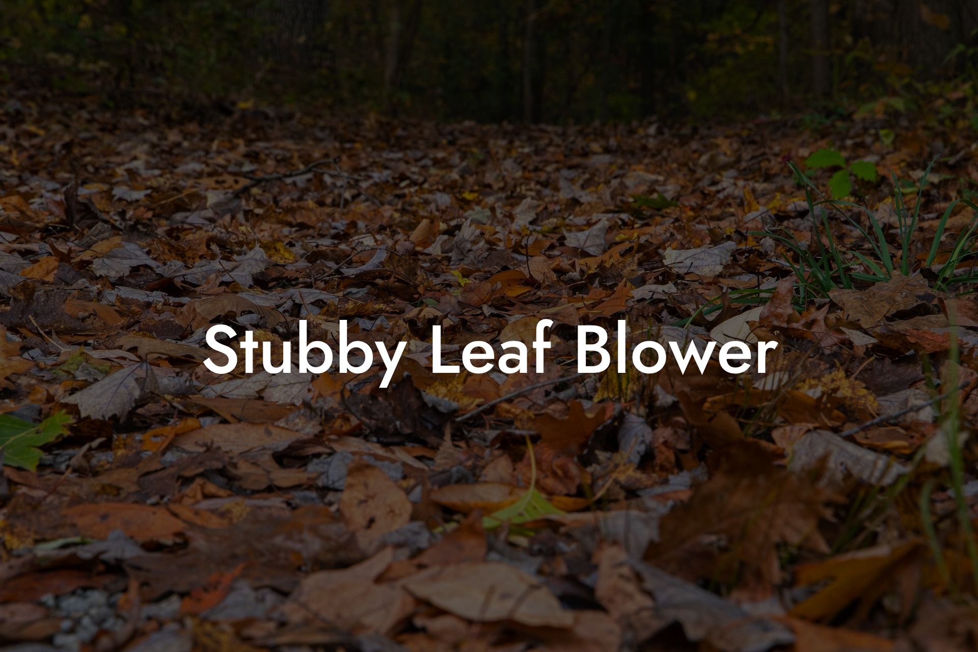 Stubby Leaf Blower