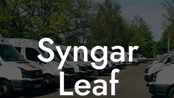 Syngar Leaf Blower