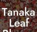 Tanaka Leaf Blower Parts