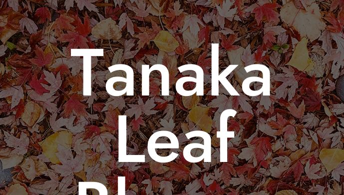 Tanaka Leaf Blower Parts