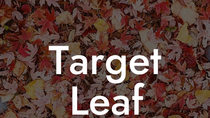 Target Leaf Blower