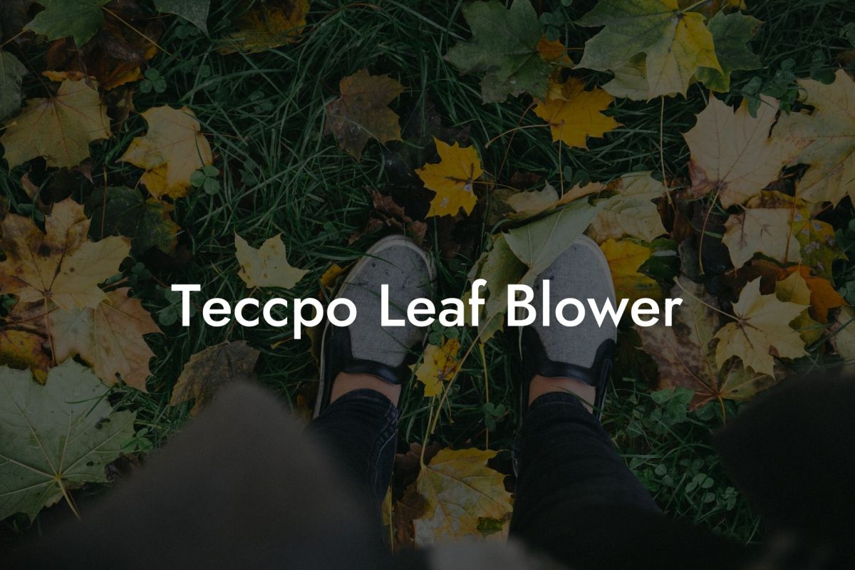 Teccpo Leaf Blower