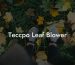 Teccpo Leaf Blower