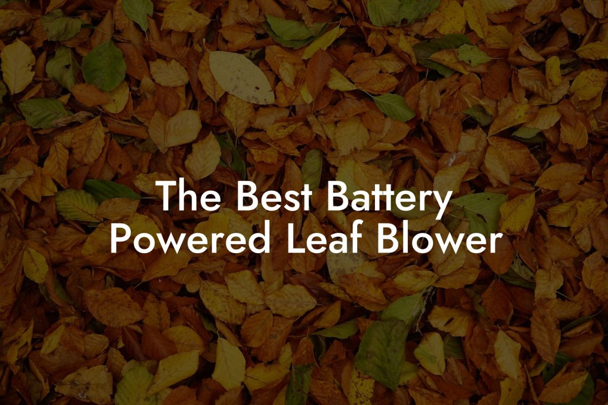 The Best Battery Powered Leaf Blower