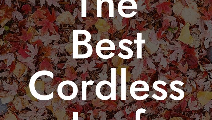 The Best Cordless Leaf Blower