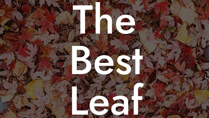 The Best Leaf Blower