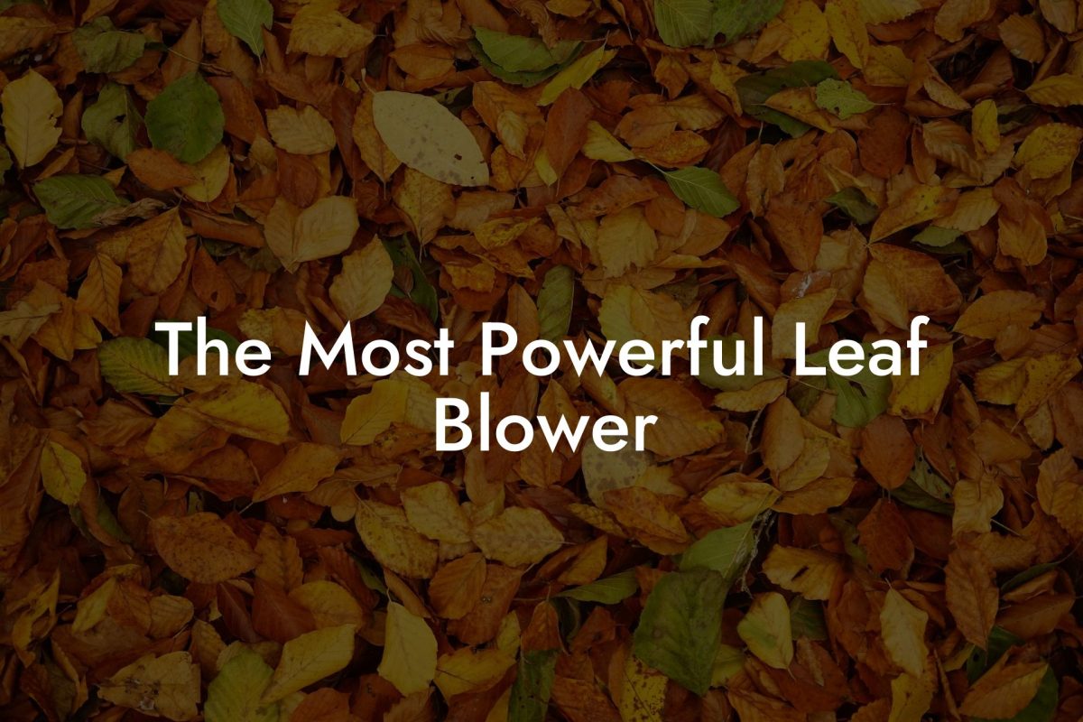 The Most Powerful Leaf Blower