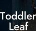 Toddler Leaf Blower