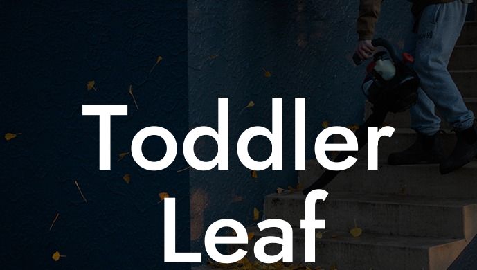 Toddler Leaf Blower