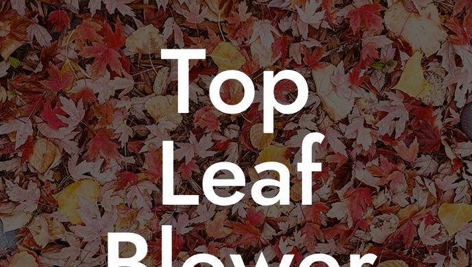 Top Leaf Blower