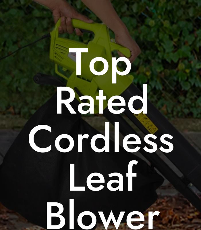 Top Rated Cordless Leaf Blower