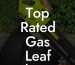 Top Rated Gas Leaf Blower