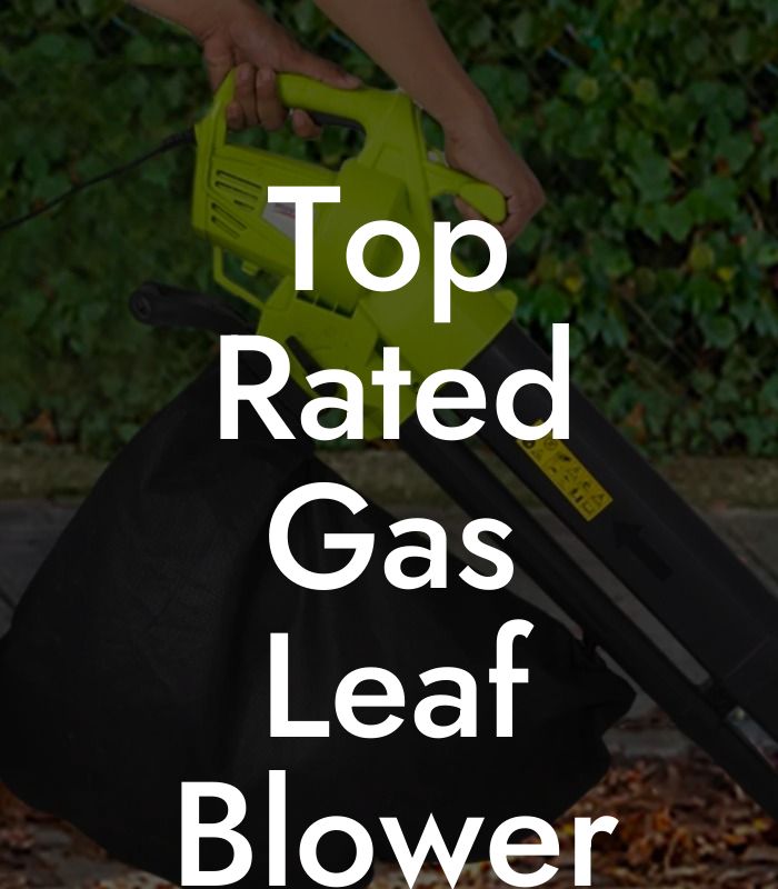 Top Rated Gas Leaf Blower