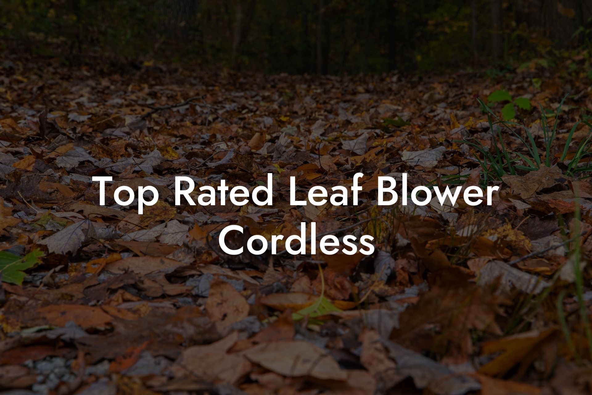 Top Rated Leaf Blower Cordless