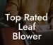 Top Rated Leaf Blower