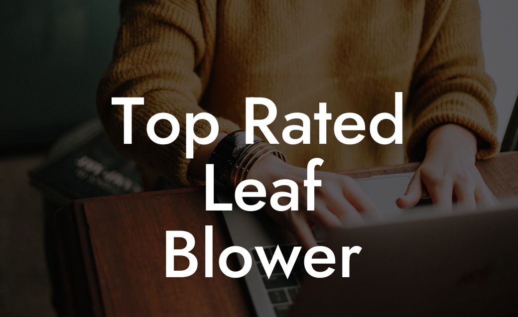 Top Rated Leaf Blower