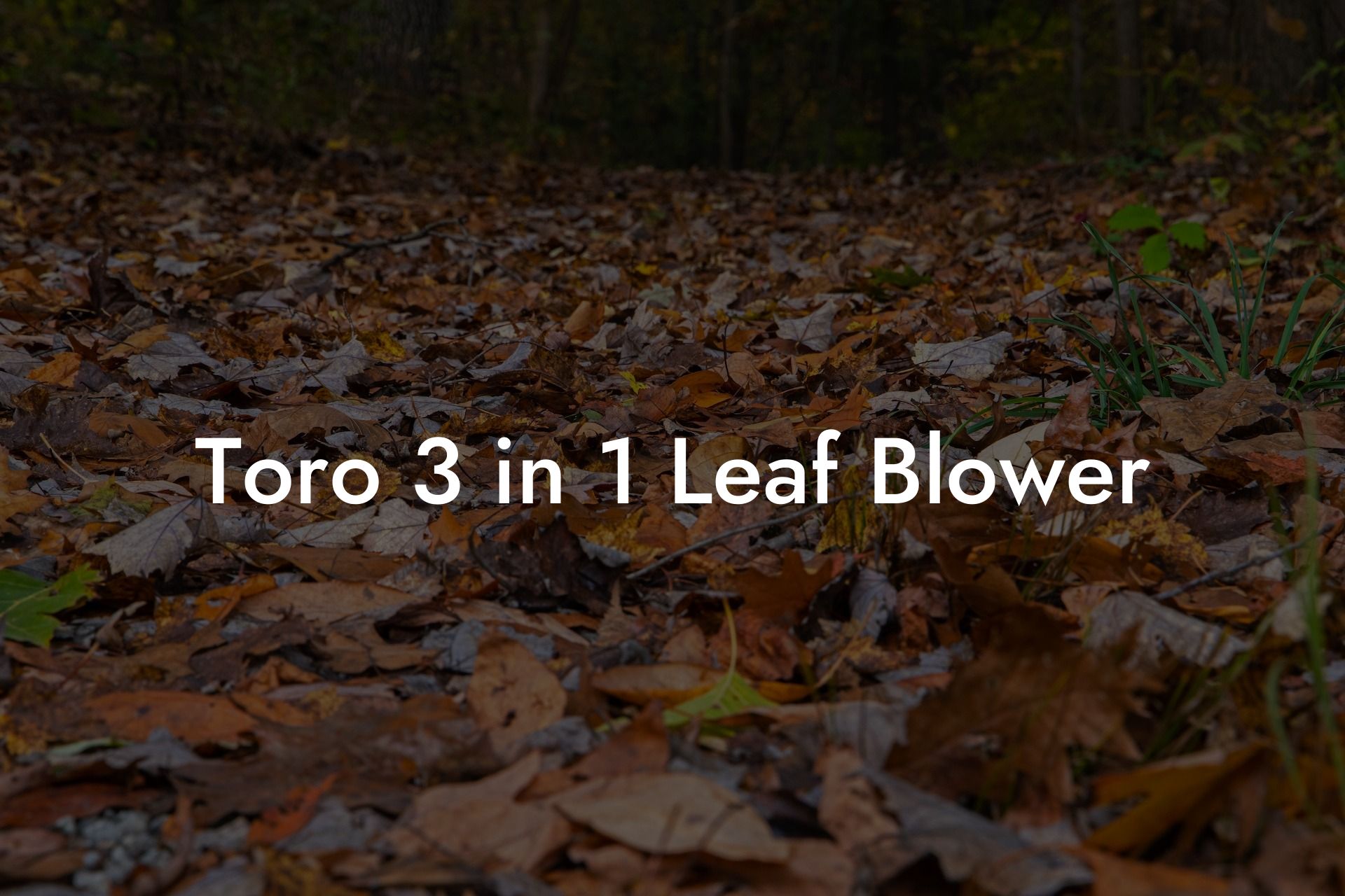 Toro 3 in 1 Leaf Blower