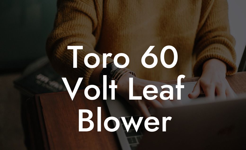 Toro 60 Volt Leaf Blower