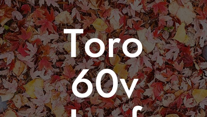 Toro 60v Leaf Blower