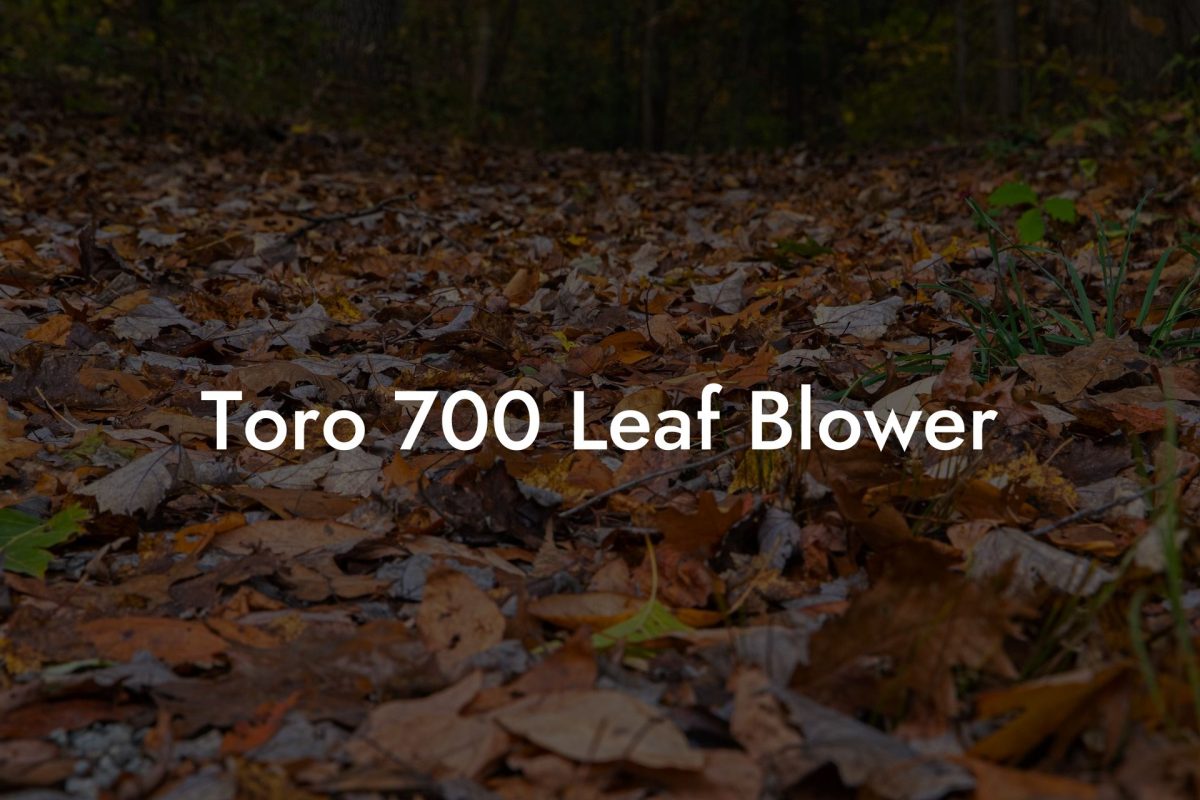 Toro 700 Leaf Blower