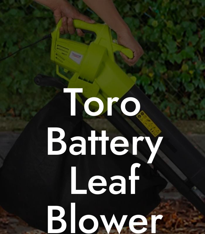 Toro Battery Leaf Blower