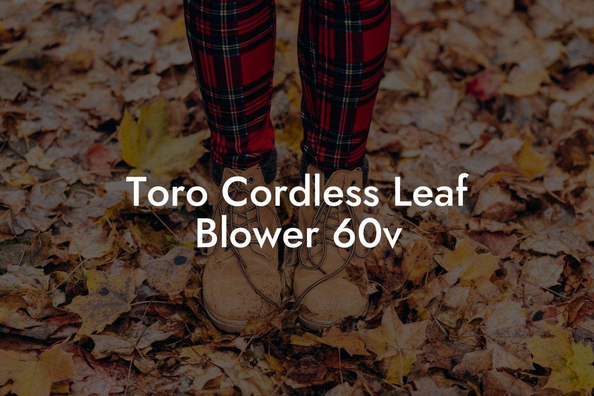 Toro Cordless Leaf Blower 60v