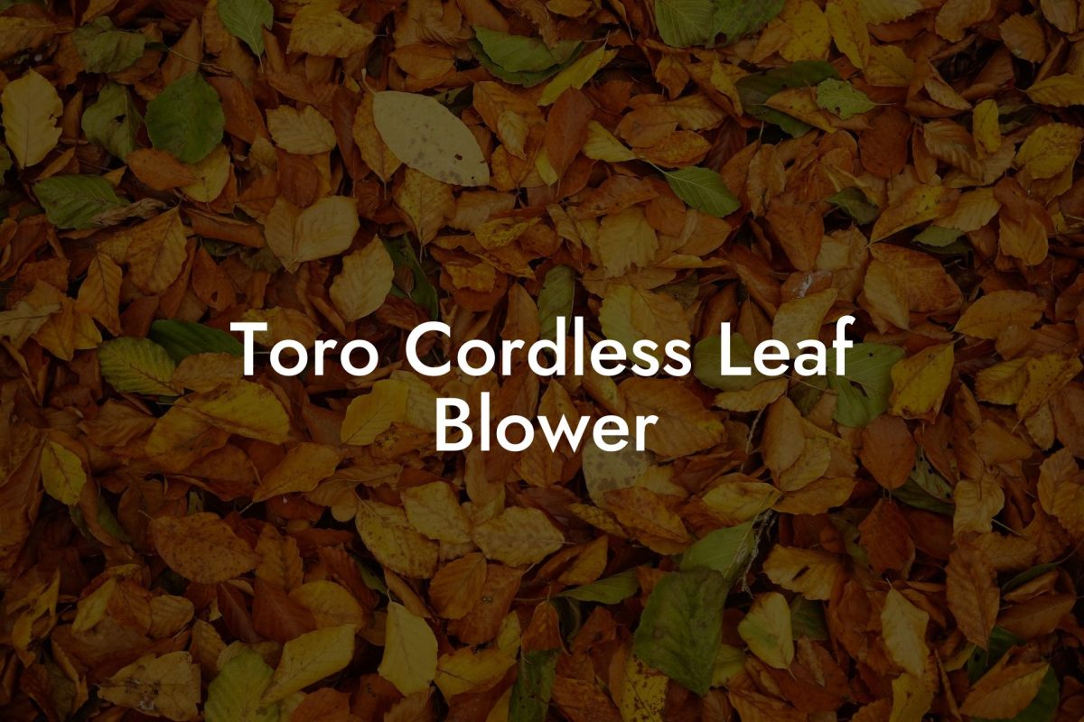 Toro Cordless Leaf Blower