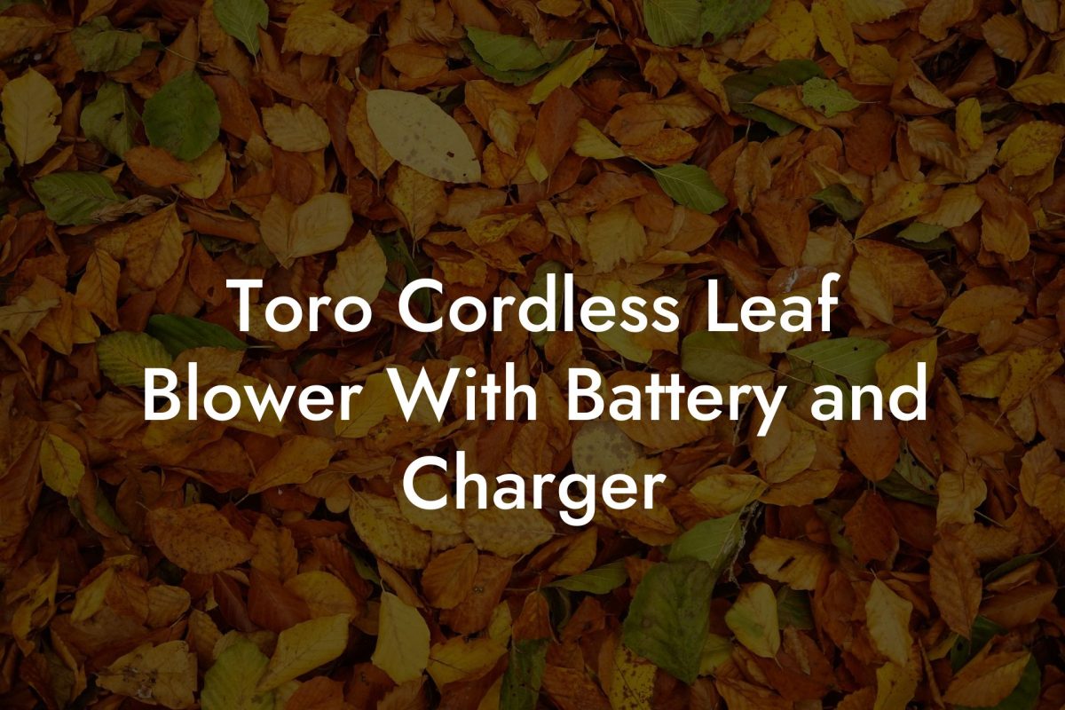 Toro Cordless Leaf Blower With Battery and Charger