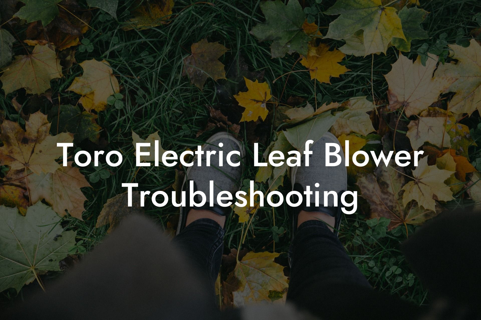 Toro Electric Leaf Blower Troubleshooting