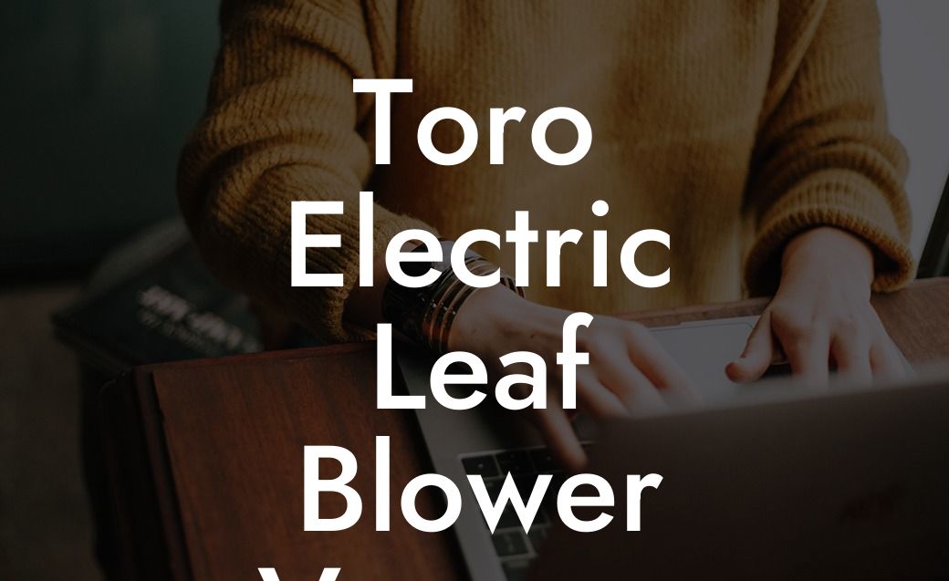 Toro Electric Leaf Blower Vacuum