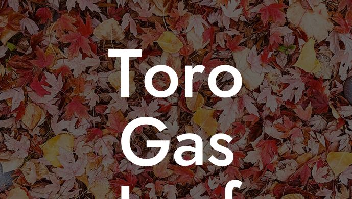 Toro Gas Leaf Blower