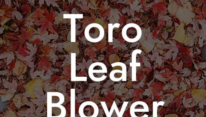 Toro Leaf Blower and Mulcher