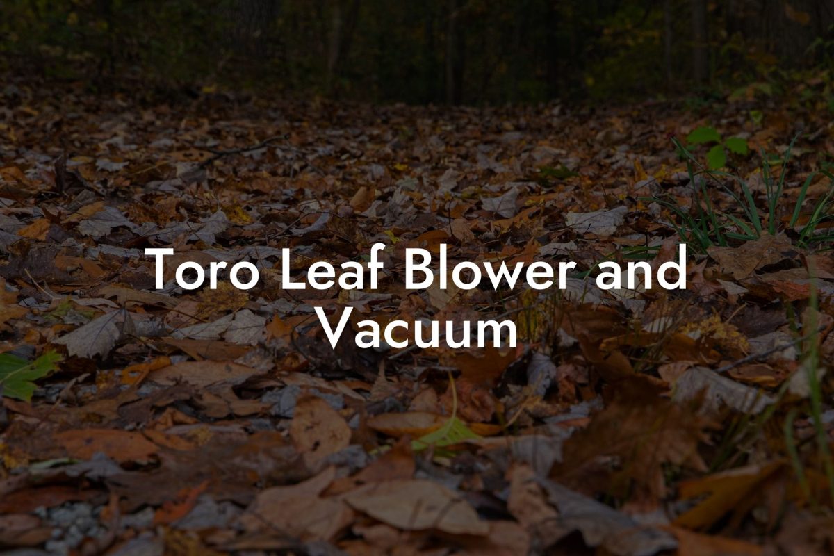 Toro Leaf Blower and Vacuum