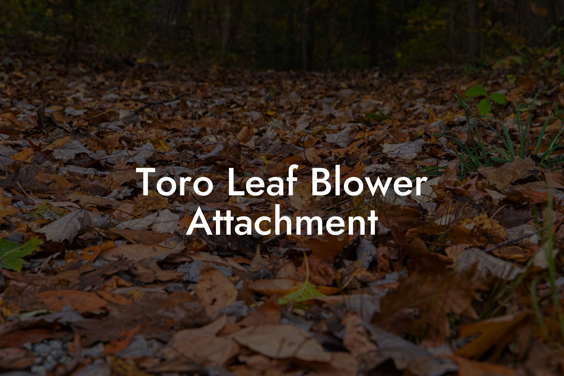 Toro Leaf Blower Attachment