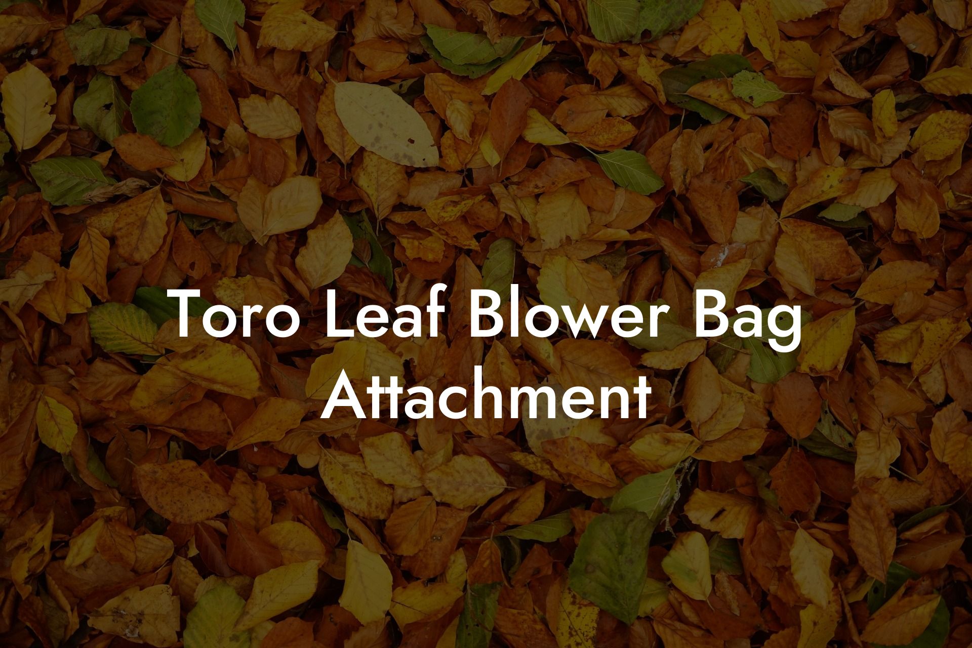 Toro Leaf Blower Bag Attachment