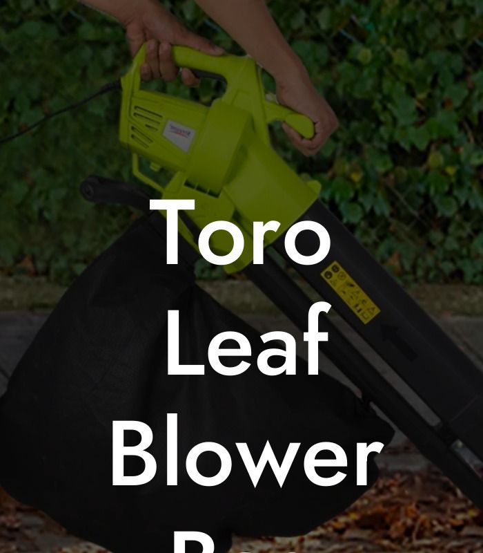 Toro Leaf Blower Bag