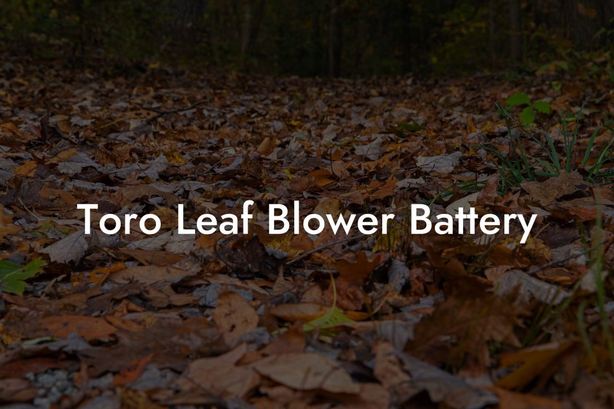 Toro Leaf Blower Battery