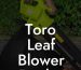 Toro Leaf Blower Dealer