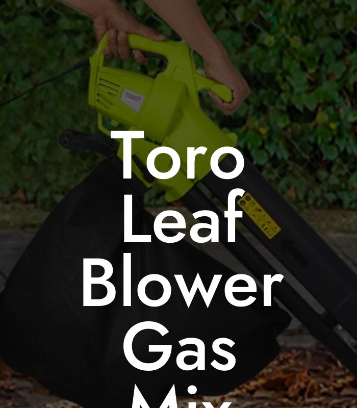 Toro Leaf Blower Gas Mix