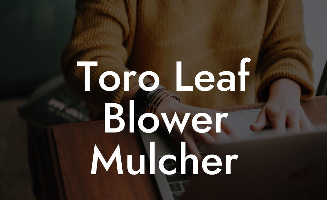 Toro Leaf Blower Mulcher