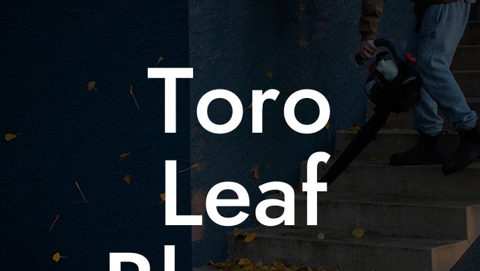 Toro Leaf Blower Parts