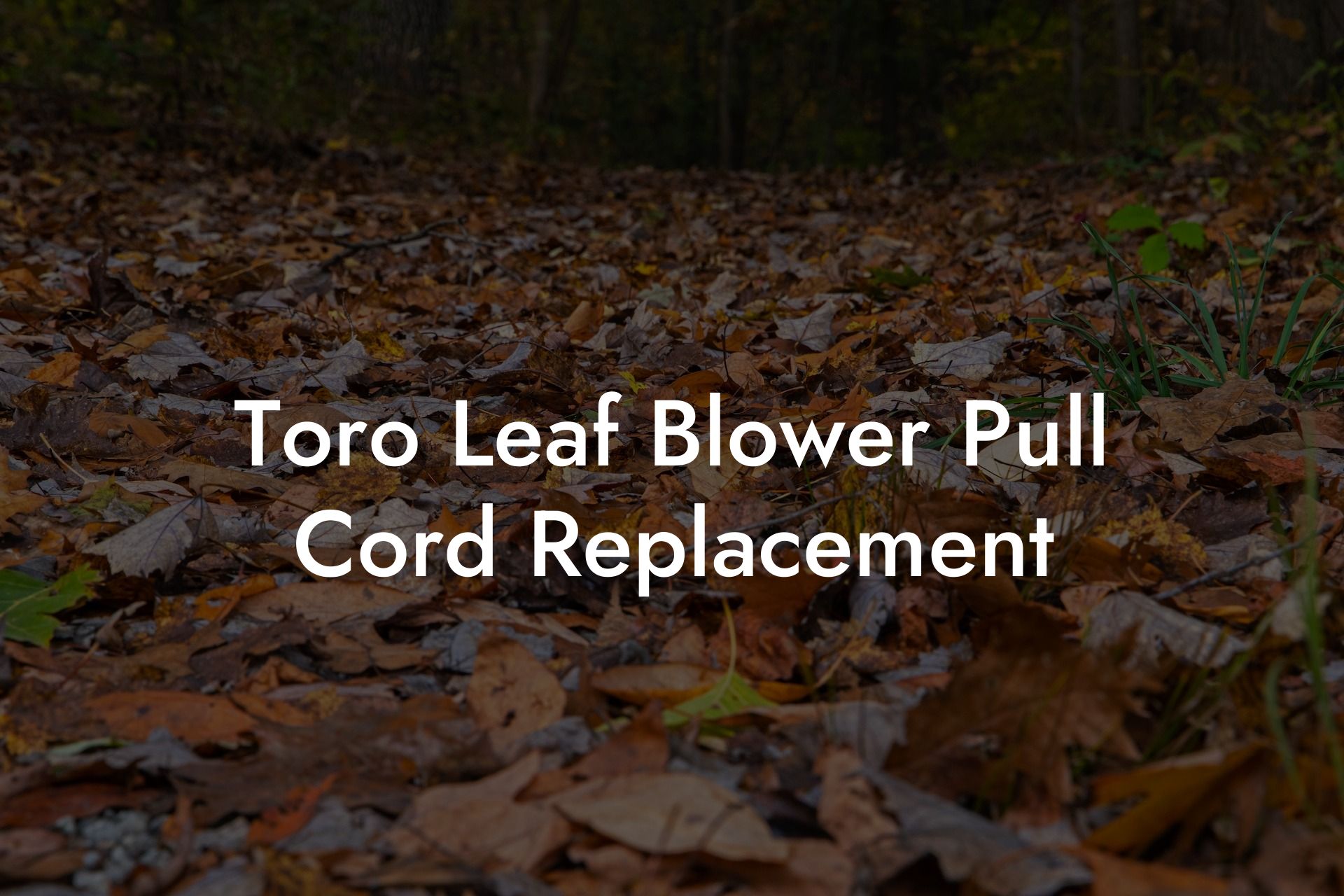 Toro Leaf Blower Pull Cord Replacement