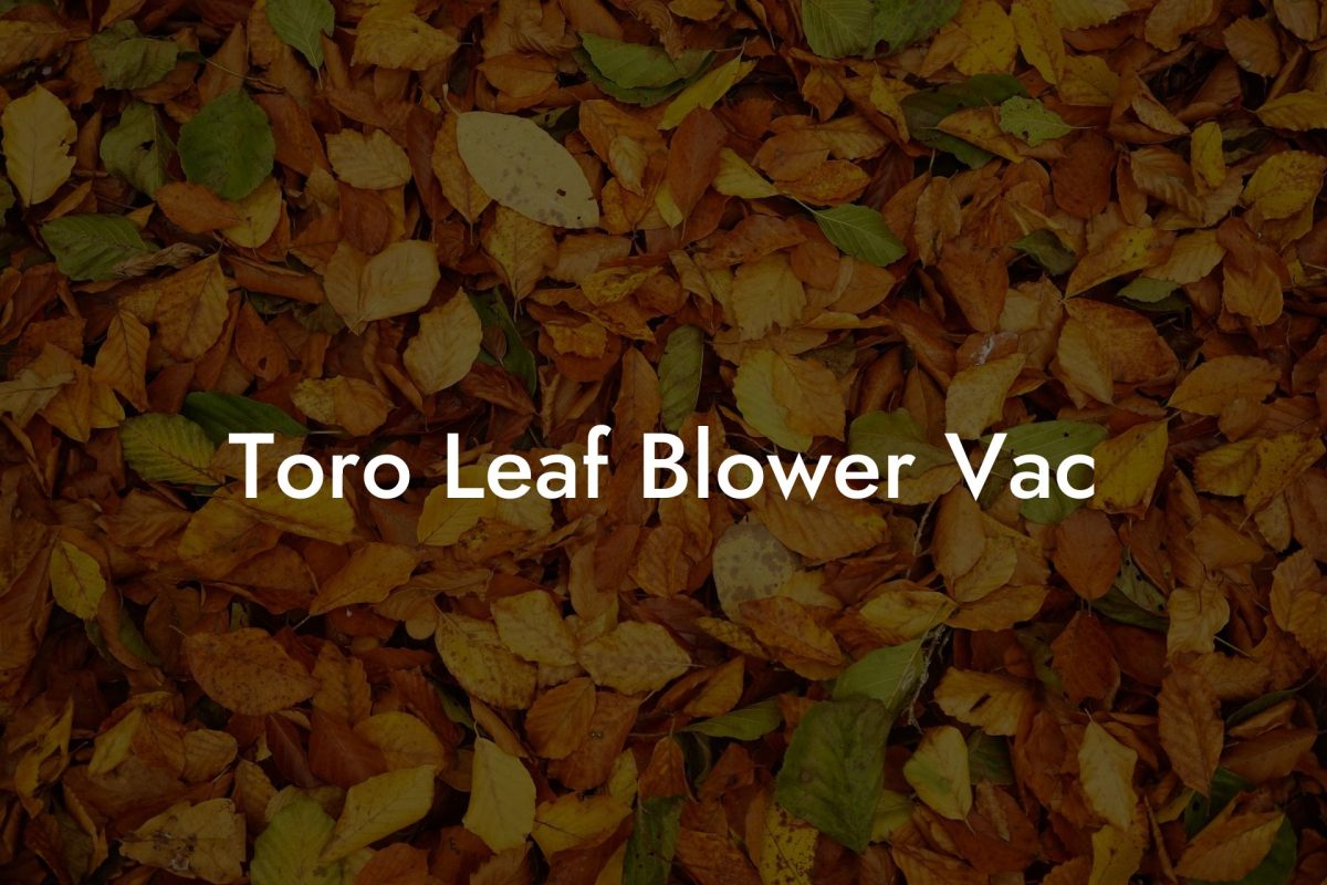 Toro Leaf Blower Vac