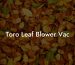 Toro Leaf Blower Vac