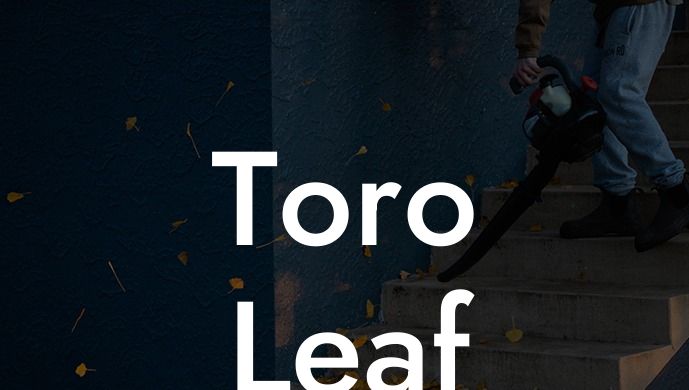 Toro Leaf Blower/vacuum